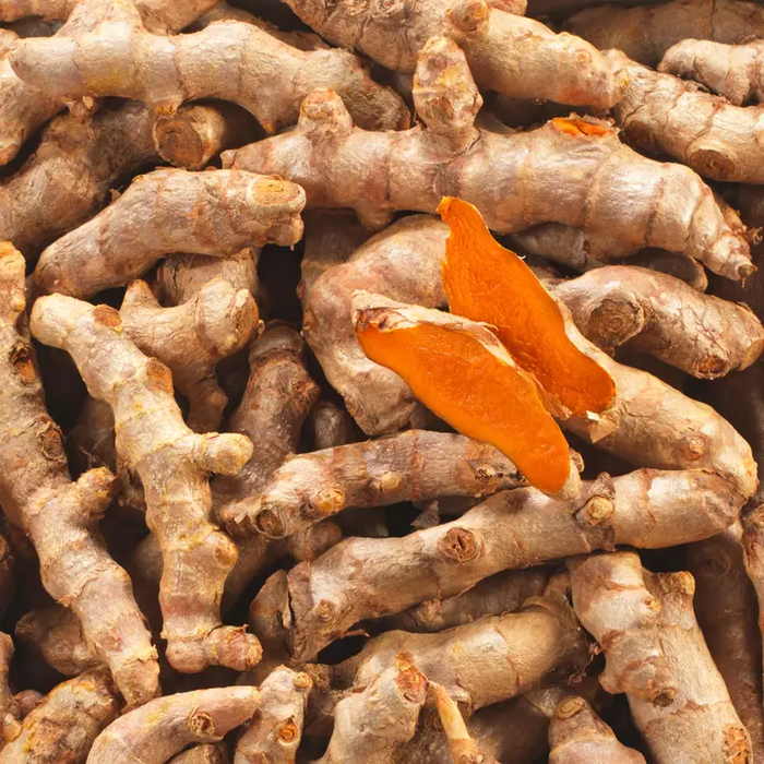 Curcuma