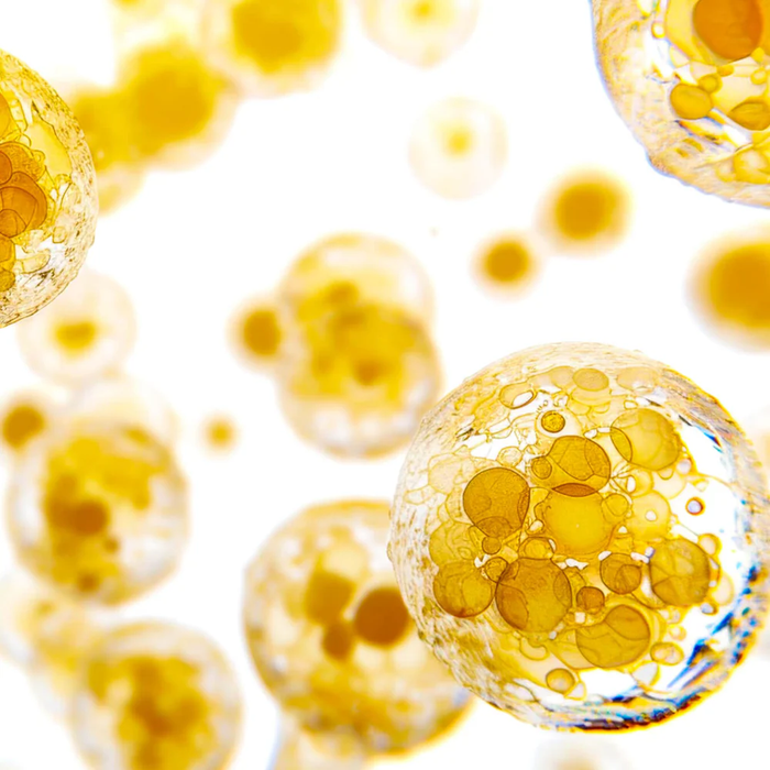 Vitamine C